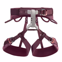 Petzl Luna, Ice climbing, Alpinisme, Boucle à libération latérale, L, Violet, Femelle, Nylon
