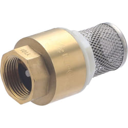 Noyon&thiebault - Clapet anti-retour avec filtre inox F20x27 (3/4)