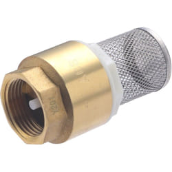 Noyon&thiebault - Clapet anti-retour avec filtre inox F26x34 (1')