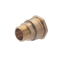 Raccord mâle laiton pour tube polyéthylène NOYON & THIEBAULT Ø25 - M20x27 (3/4)