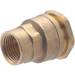 Noyon&thiebault - Raccord femelle laiton pour tuyau polyéthylène Ø20 - F15x21 (1/2)