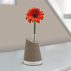 Extel - Carillon Portatif Mitsu 100 c Taupe Sonnette Sans Fil Portée 100m 80912