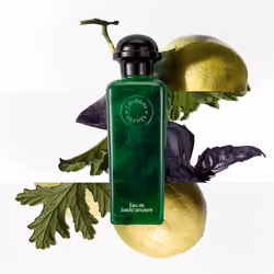 Eau De Basilic Pourpre eau de cologne vaporisateur 100 ml