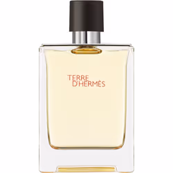 LA CRÉATION
En 2006, le parfumeur Jean-Claude Ellena crée Terre d'Hermès, une Eau de Toilette reliant l'homme à sa puissance  ...
