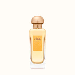 Hermes Caleche 100ml Femmes