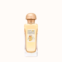 Hermes Caleche 100ml Femmes
