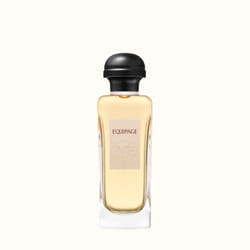 Hermes Equipage 100ml Hommes