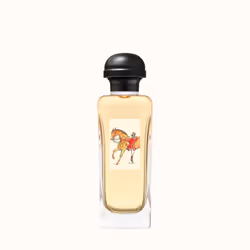 Hermes Equipage 100ml Hommes