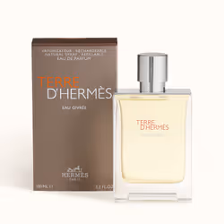 Hermes Terre d' Eau Givree 100ml Hommes