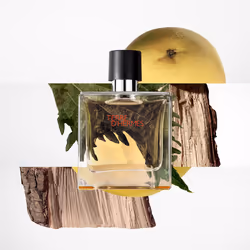Terre D’HERMÈS parfum vaporisateur 75 ml