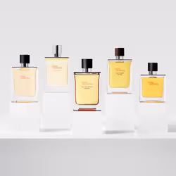 Hermes Terre d'Hermès 200 ml Hommes - Vue supplémentaire 4