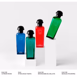 Concentre D’ORANGE Verte eau de toilette vaporisateur 100 ml