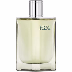 Hermes H24