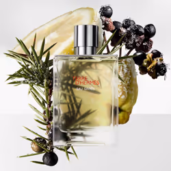 Hermes Terre d'Hermès Eau Givree 175ml Hommes - Vue supplémentaire 4