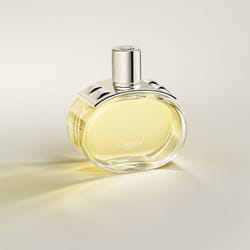 Hermes Barénia 100ml Femmes