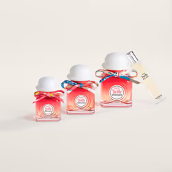 Hermes Tutti Twilly d'Hermès - Vue supplémentaire 4