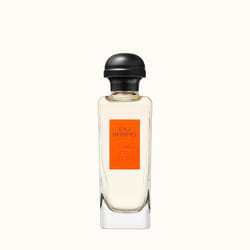Hermes Eau d' 100ml Hommes
