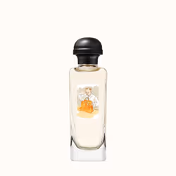 Hermes Eau d' 100ml Hommes