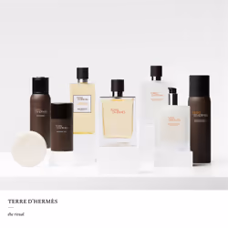 Hermes Terre d'Hermès Eau de toilette 50ml - Vue supplémentaire 4