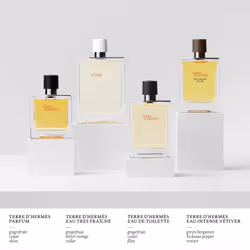 Hermes Terre d'Hermès Eau de toilette 50ml - Vue supplémentaire 5