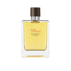 Hermes Terre d'Hermès Eau Intense Vétiver Eau de parfum 100ml
