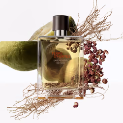Hermes Terre d'Hermès Eau Intense Vétiver Eau de parfum 100ml
