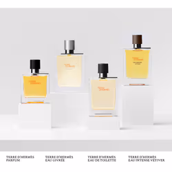 Hermes Terre d'Hermès Eau Intense Vétiver Eau de parfum 100ml