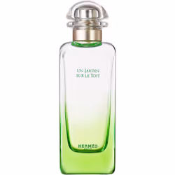 Hermes Un Jardin sur le Toit Eau de toilette 100ml, Unisexe, 100 ml, Flacon non réutilisable, Spray, Alcohol, Parfum (Fragran ...
