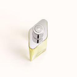 Hermes H24 eau de toilette 100ml