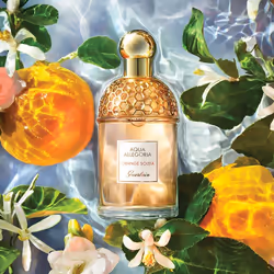 Guerlain Aqua Allegoria Orange Soleia Femmes 75ml