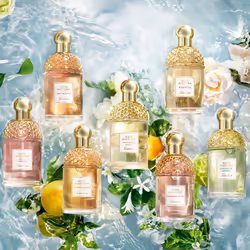 Guerlain Aqua Allegoria Granada Salvia 75ml Femmes - Vue supplémentaire 4