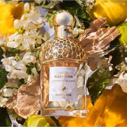 Guerlain Bergamote Calabria Femmes 75ml