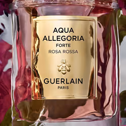 Guerlain Rosa Rossa Forte 75ml Femmes - Vue supplémentaire 4
