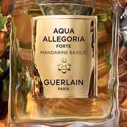 Guerlain Mandarine Basilic Forte 75ml Femmes - Vue supplémentaire 4