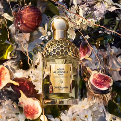 Guerlain Aqua Allegoria Nerolia Vetiver Forte 125ml Femmes