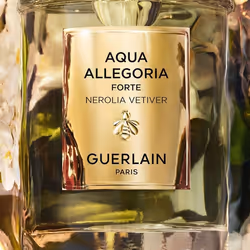 Guerlain Aqua Allegoria Nerolia Vetiver Forte 75ml Femmes - Vue supplémentaire 4