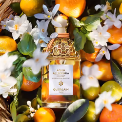 Guerlain Aqua Allegoria Mandarine Basilic Harvest 125ml Femmes