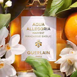 Guerlain Aqua Allegoria Mandarine Basilic Harvest 125ml Femmes