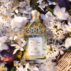 Guerlain Aqua Allegoria Nerolia Vetiver Harvest 125ml Femmes