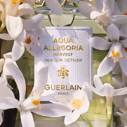 Guerlain Aqua Allegoria Nerolia Vetiver Harvest 125ml Femmes