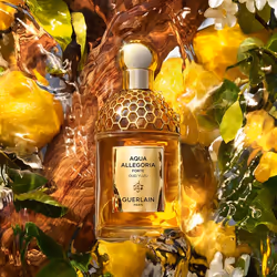 Guerlain Aqua Allegoria Oud Yuzu Forte 125ml Femmes