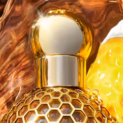 Guerlain Aqua Allegoria Oud Yuzu Forte 125ml Femmes
