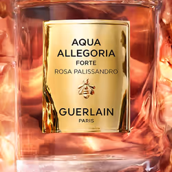 Guerlain Aqua Allegoria Rosa Palissandro Forte 75ml Femmes - Vue supplémentaire 4