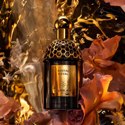 Guerlain Absolus Allegoria Santal Royal 125ml Unisexe