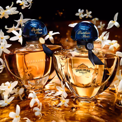 Guerlain Shalimar 50ml Femmes