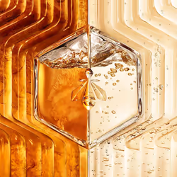 Guerlain Abeille Royale Double R Renew & Repair Sérum visage 50 ml Femmes - Vue supplémentaire 4