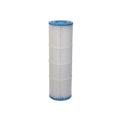 Pentair - Cartouche Clean & Clear Plus 520 (H-RAF173578)