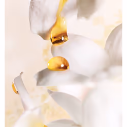 Dior J'Adore Femmes 30ml