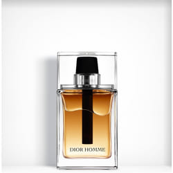 Dior Homme 100ml Hommes