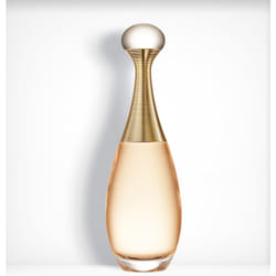 Dior J'adore 100ml Femmes